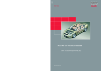 0282_d1_VW-AUDI_Self-service-program-SSP 