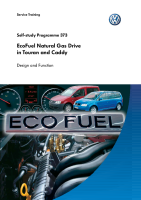 0373_d2_VW-AUDI_Self-service-program-SSP 